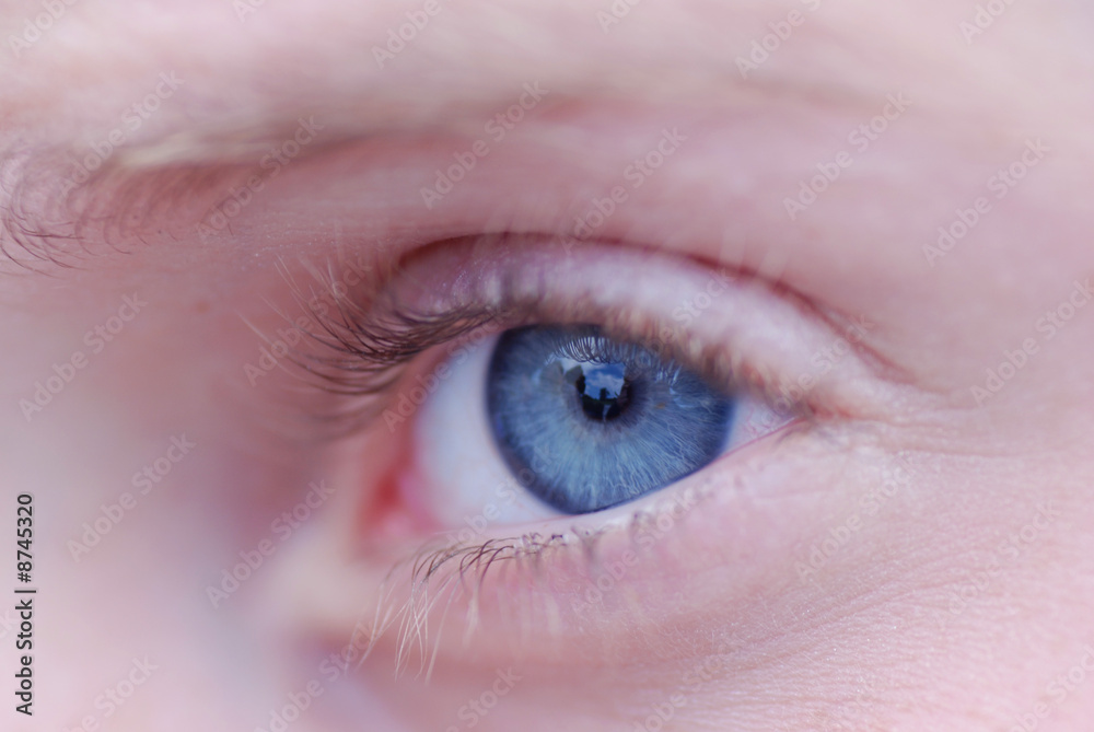 Obraz premium yeux bleus