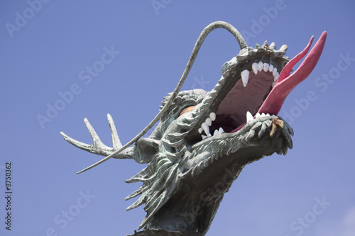 Wallpaper Mural Drache Torontodigital.ca