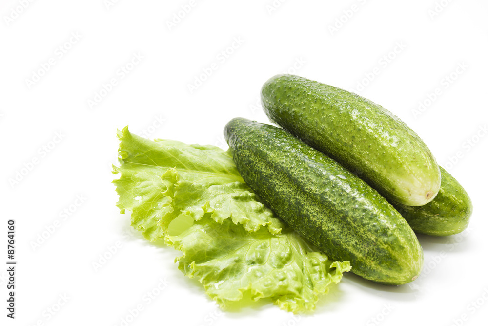 Cucumbers on lettuce Cucumbers on lettuce