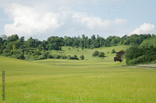 English Countryside with cloudy sky