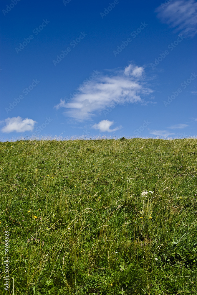 Prairie Prairie