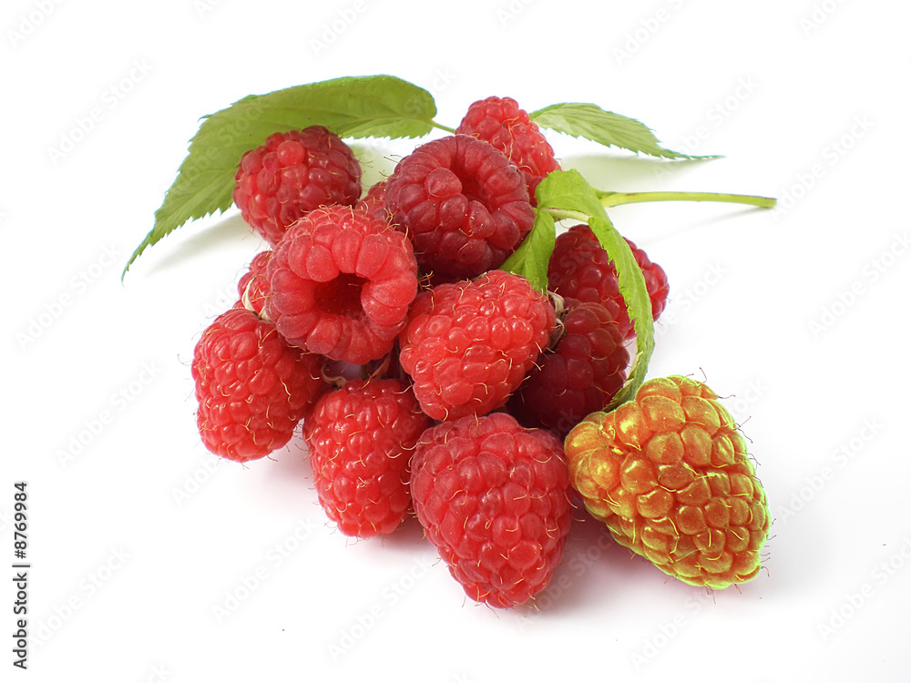 unique raspberry unique raspberry