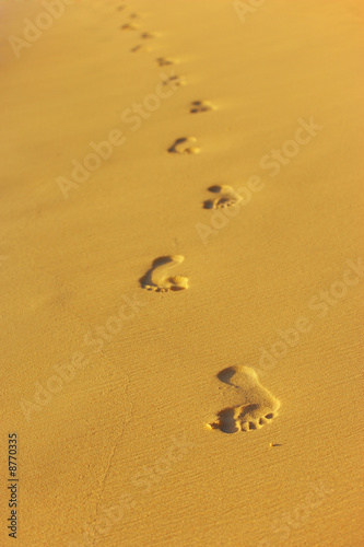 footprints in wet sand