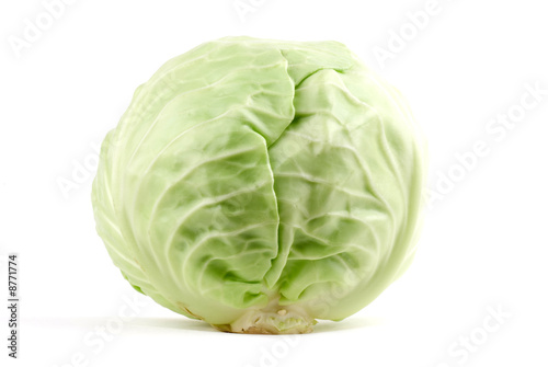 White Cabbage © Barbro Bergfeldt