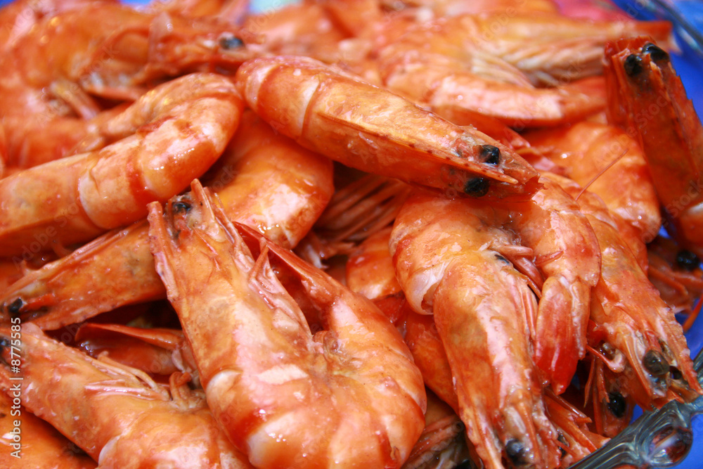 shrimp shrimp