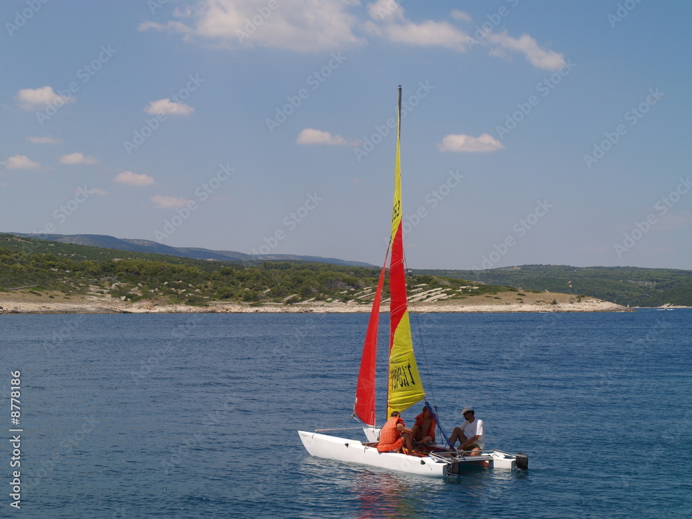 Naklejka premium Catamaran