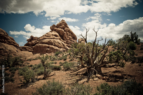 Arches National Park, Utah, USA