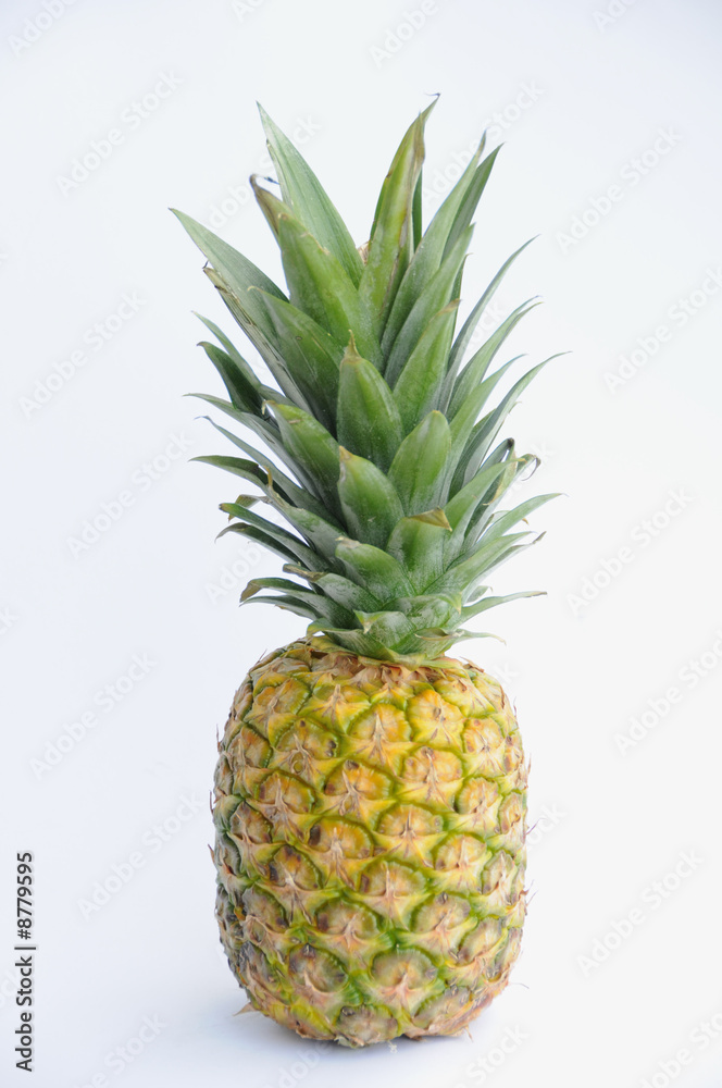 ananas ananas