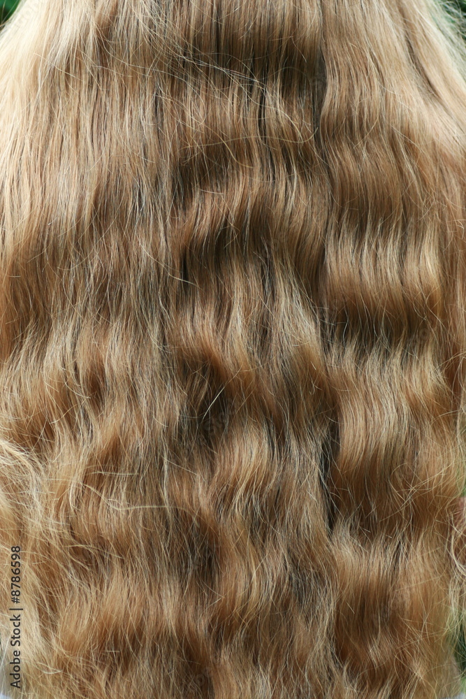 Naklejka premium Long blond hair