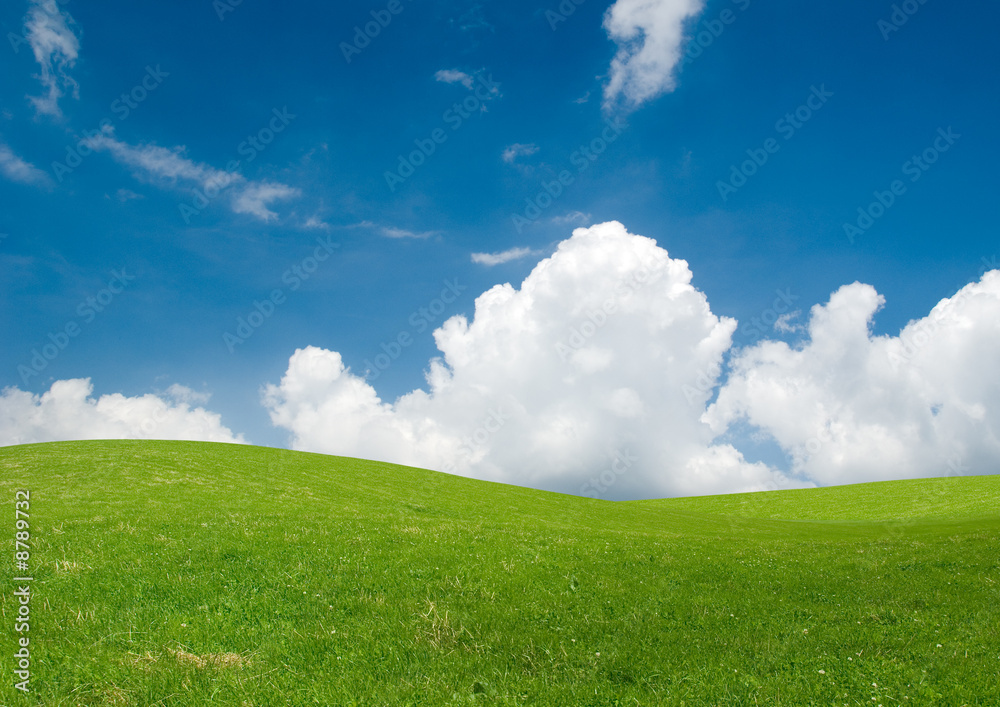 Rolling green hills under a blue summer sky. Rolling green hills under a blue summer sky.