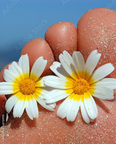 Fuß mit Blümchen zwischen den Zehen am Strand