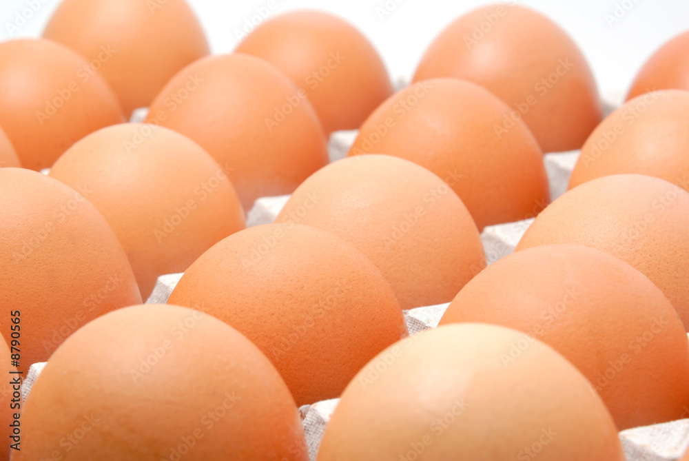 Fresh rural eggs packed into cardboard container Fresh rural eggs packed into cardboard container