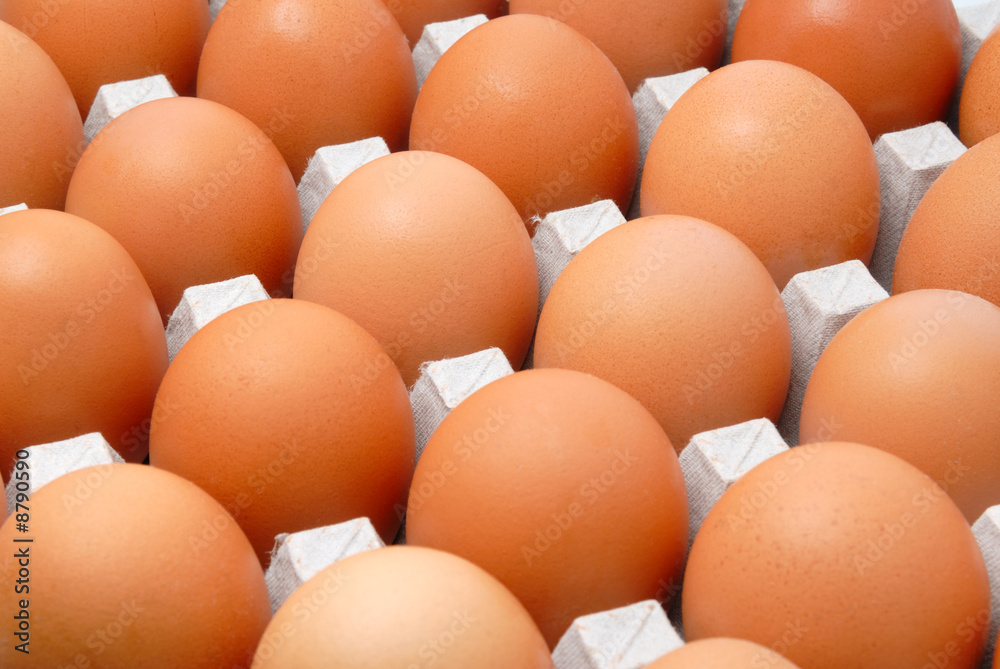 Fresh rural eggs packed into cardboard container Fresh rural eggs packed into cardboard container