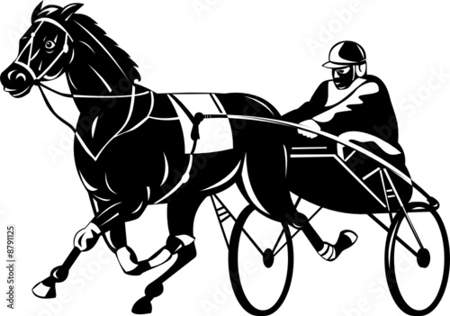 Harness racing