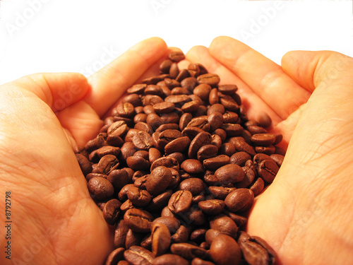 Coffee beans in the hands