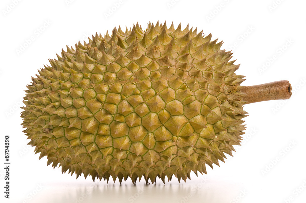 Tropical fruit - Durian Tropical fruit - Durian
