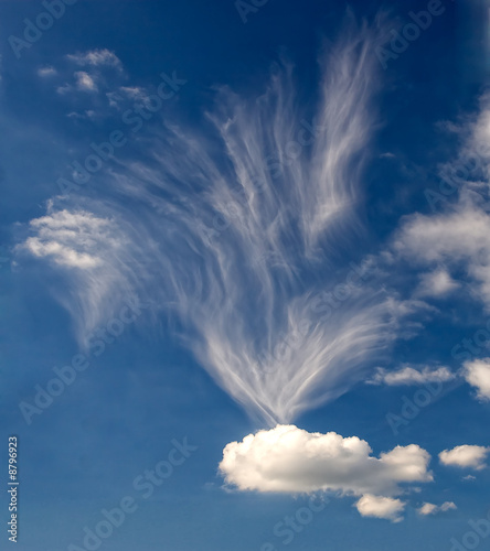 walfisch als wolke © Steffen Eichner
