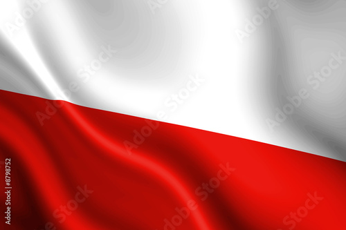 Polish flag waving in the wind #8798752