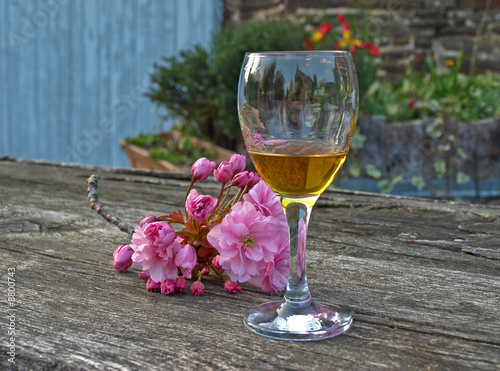 Degustation of homemade calvados in french village photo