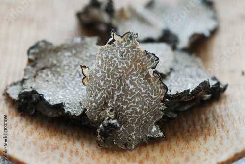 Tartufo scorzone a fette photo