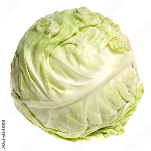 Cabbage © PaulPaladin