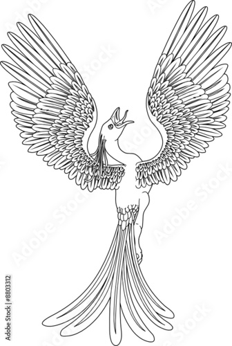 Monochrome phoenix