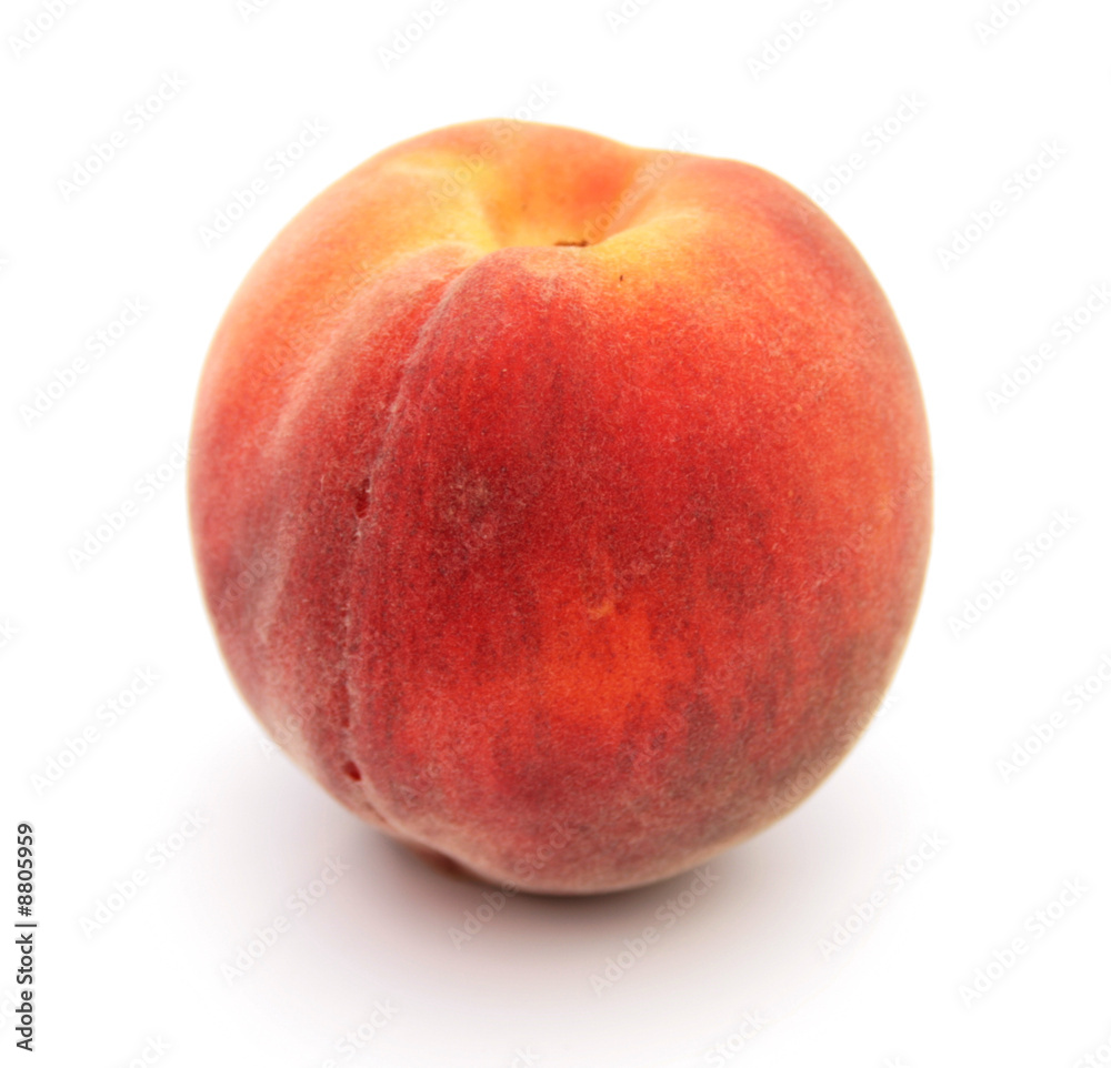 pêche pêche