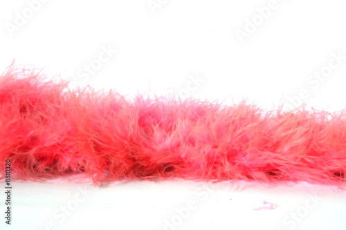 Pink Feather Boa Border