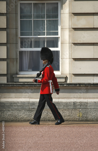 Fototapeta Buckingham Palace Guard