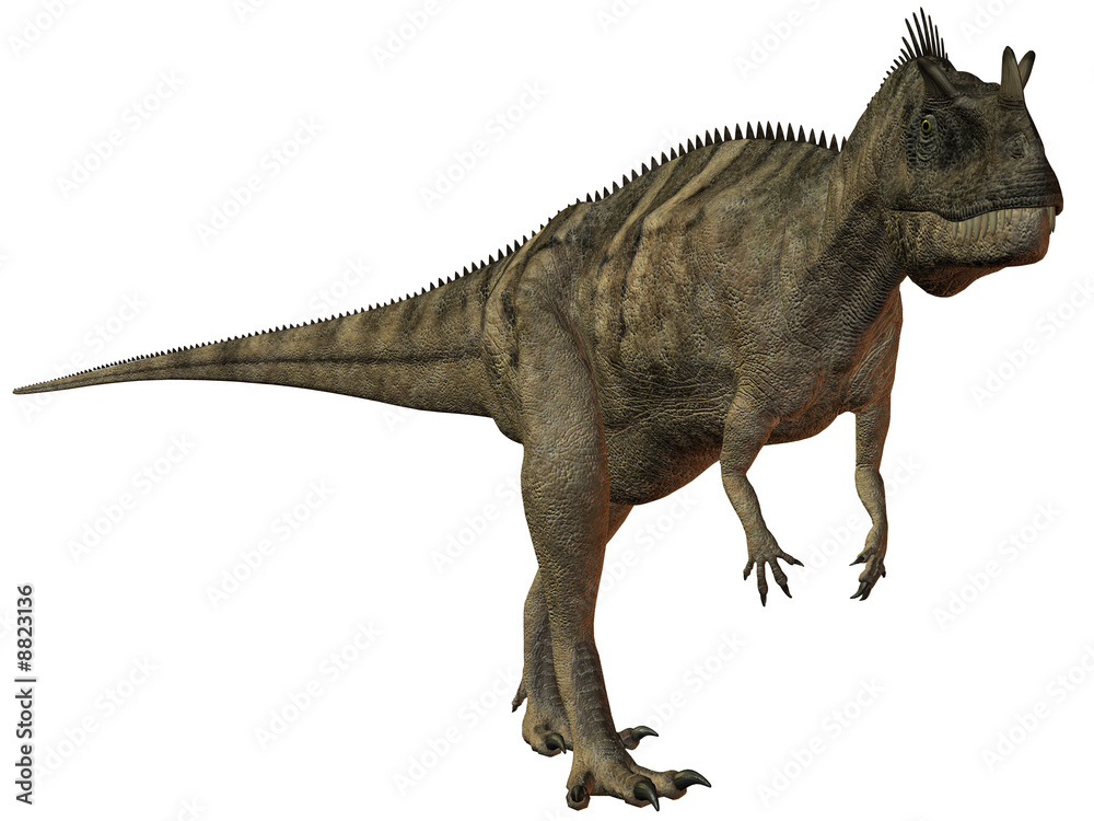 Ceratosaurus nasicornis-3D Dinosaurier Ceratosaurus nasicornis-3D Dinosaurier