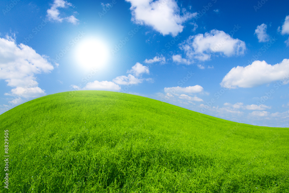 green meadow and sunny sky
