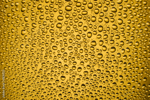 golden beer in a glass macro close up shoot