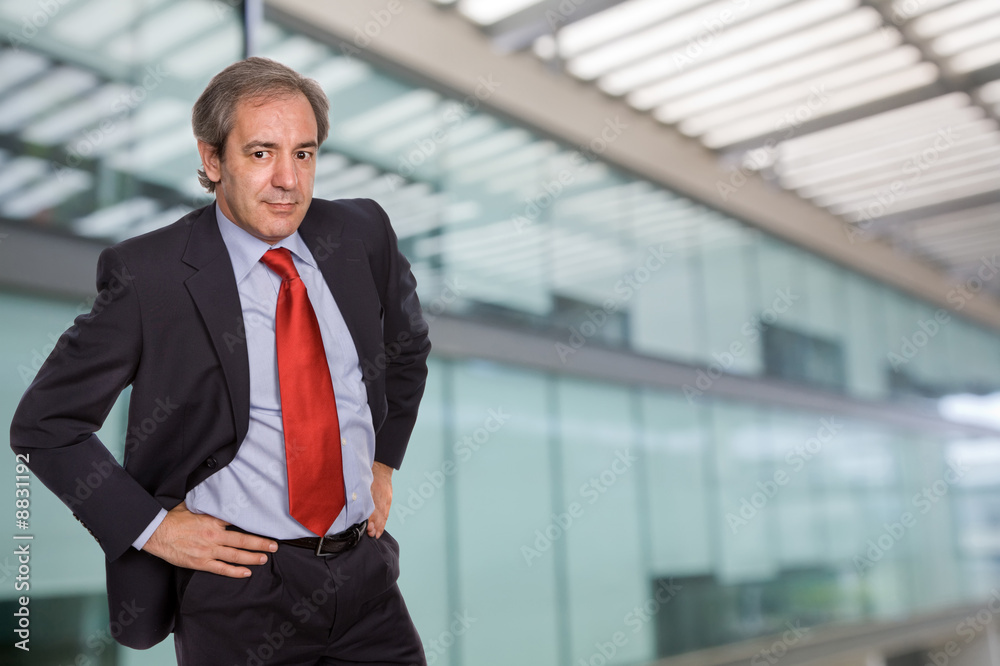 mature business man portrait in a office building mature business man portrait in a office building