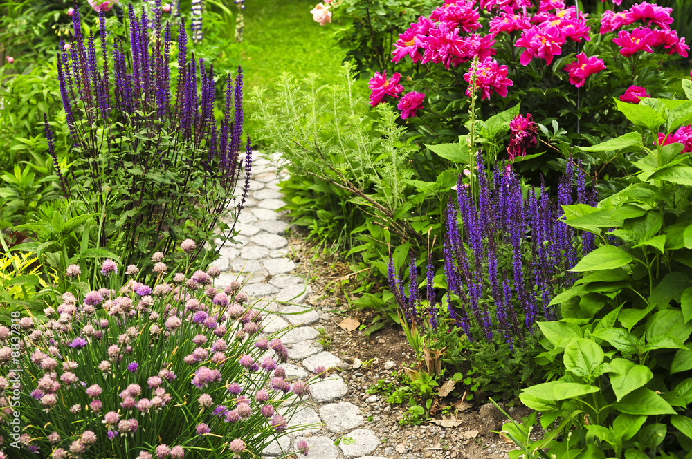 Obraz premium Luksusowy kwitnący ogród letni z utwardzoną ścieżką