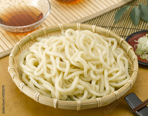 Udon (Japanese noodle)