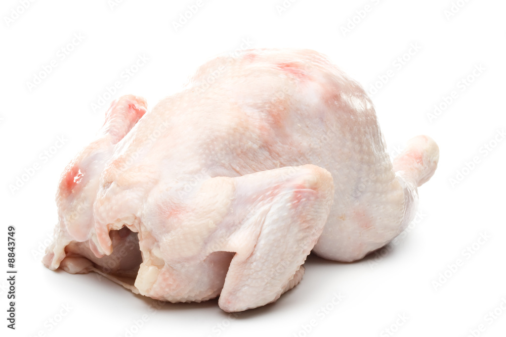 Fresh chicken on a white background. Close up Fresh chicken on a white background. Close up