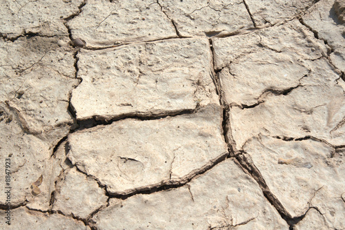Dry Soil Texture
