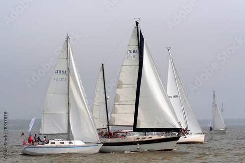 Regatta at the Curonian bay (Lithuania)