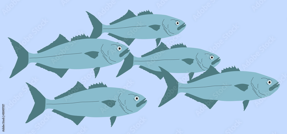 Obraz premium Peces