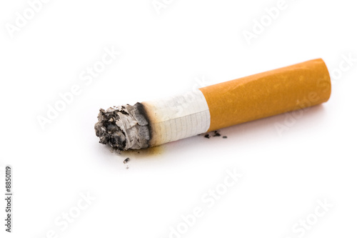 A Cigarette Butt with white background photo