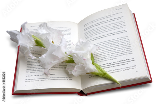 Open book with white flower sweet-smelling bookmark