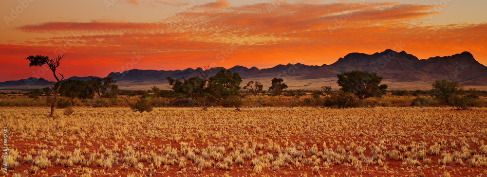Colorful sunset in Kalahari Desert, Namibia - obrazy, fototapety, plakaty 