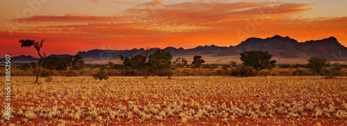Colorful sunset in Kalahari Desert, Namibia photo