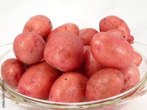 rotschalige Kartoffelsorte photo