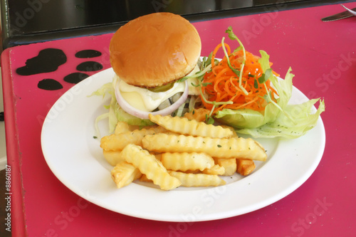 Burger and Fries on a Plate During the Day