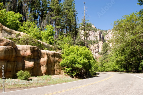 Road goes to Sedona Valley in Arizona