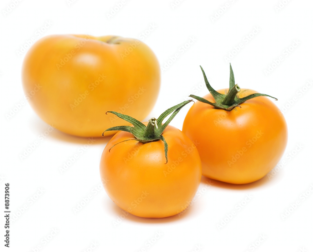 Tomato Vegetables isolated on white Tomato Vegetables isolated on white