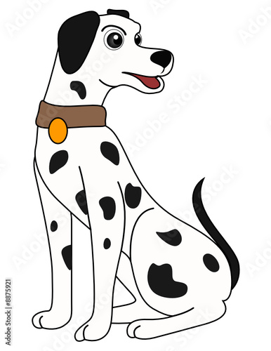 Dalmatian