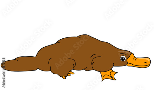 Platypus