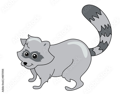 Raccoon
